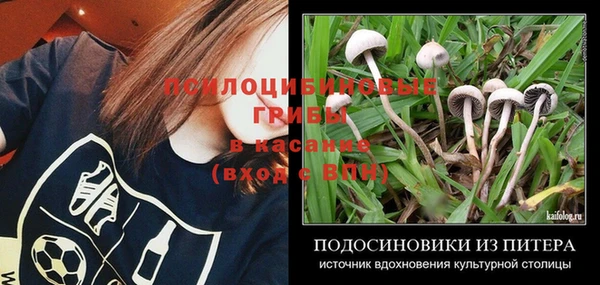 spice Волоколамск